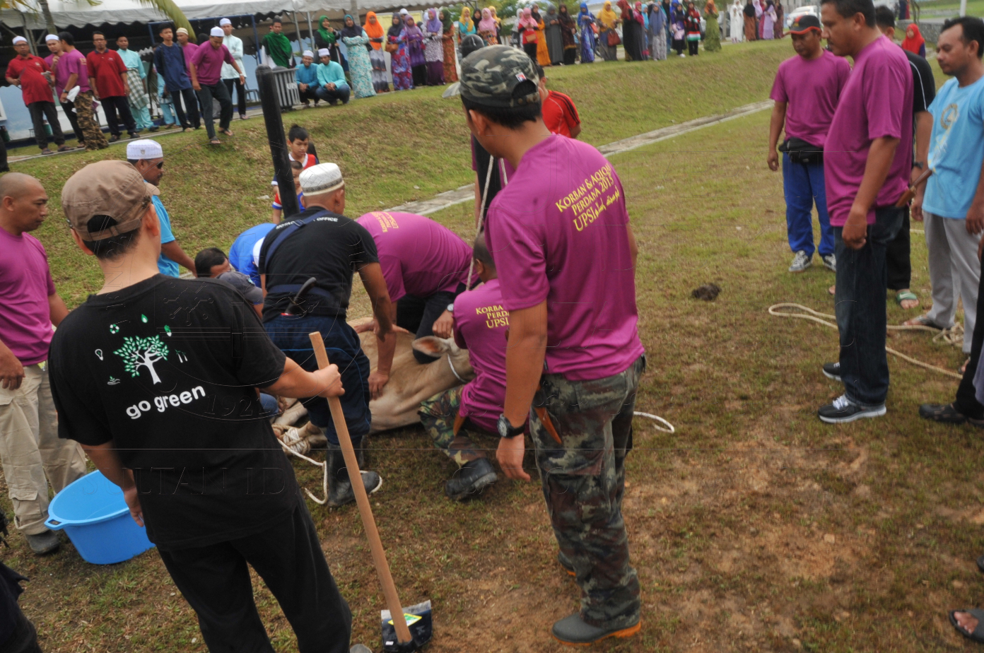 PRO15 150 KORBAN HAS 6693